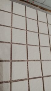 White Shower mosaics FT4501