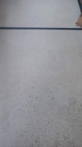 RGST515
